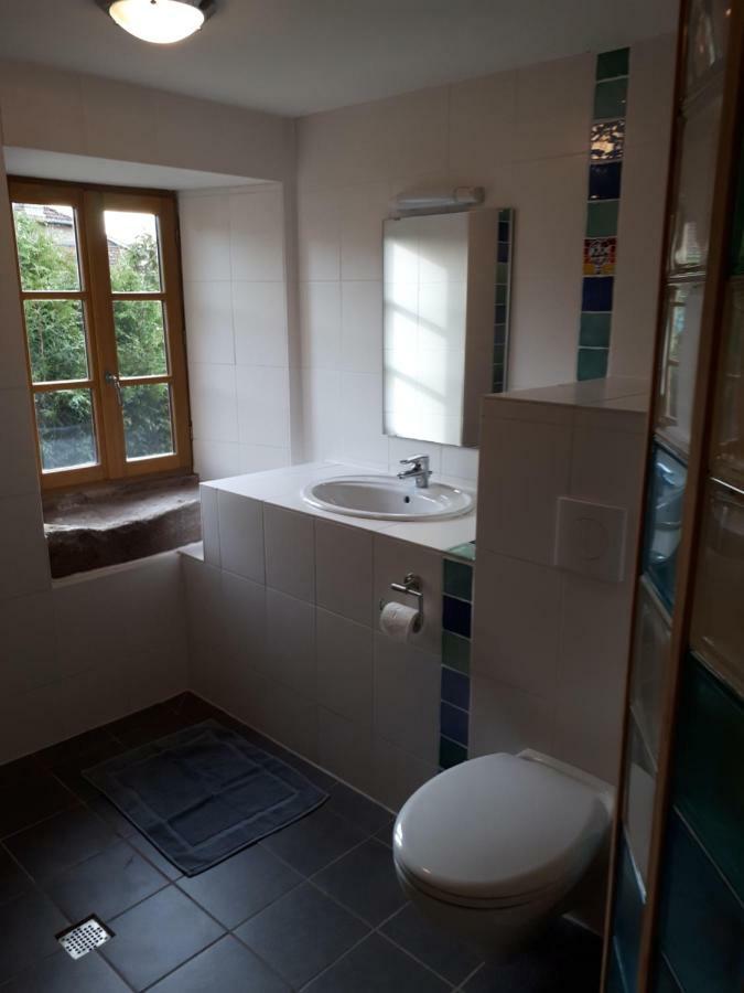 Serendipity Bed&Breakfast Saint-Die-des-Vosges Buitenkant foto