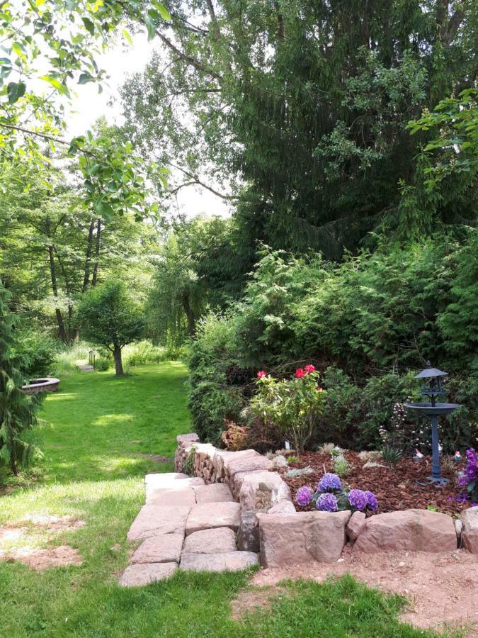 Serendipity Bed&Breakfast Saint-Die-des-Vosges Buitenkant foto