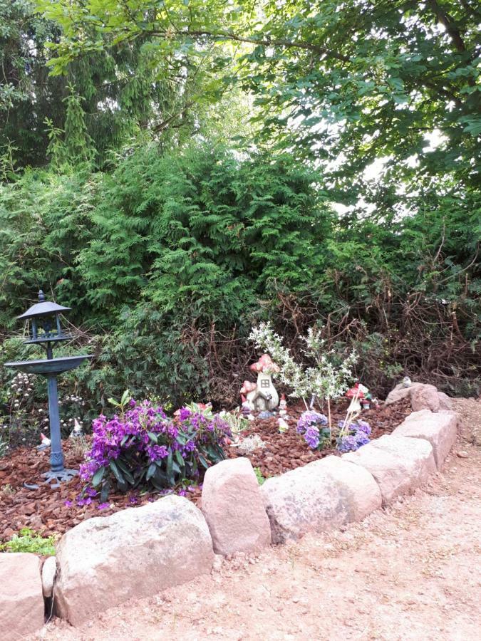 Serendipity Bed&Breakfast Saint-Die-des-Vosges Buitenkant foto