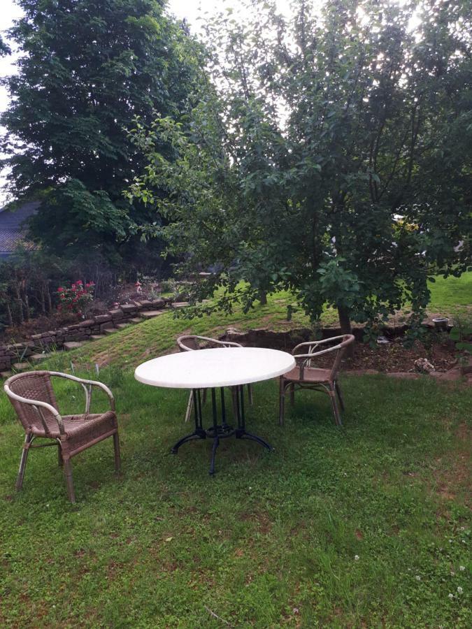 Serendipity Bed&Breakfast Saint-Die-des-Vosges Buitenkant foto