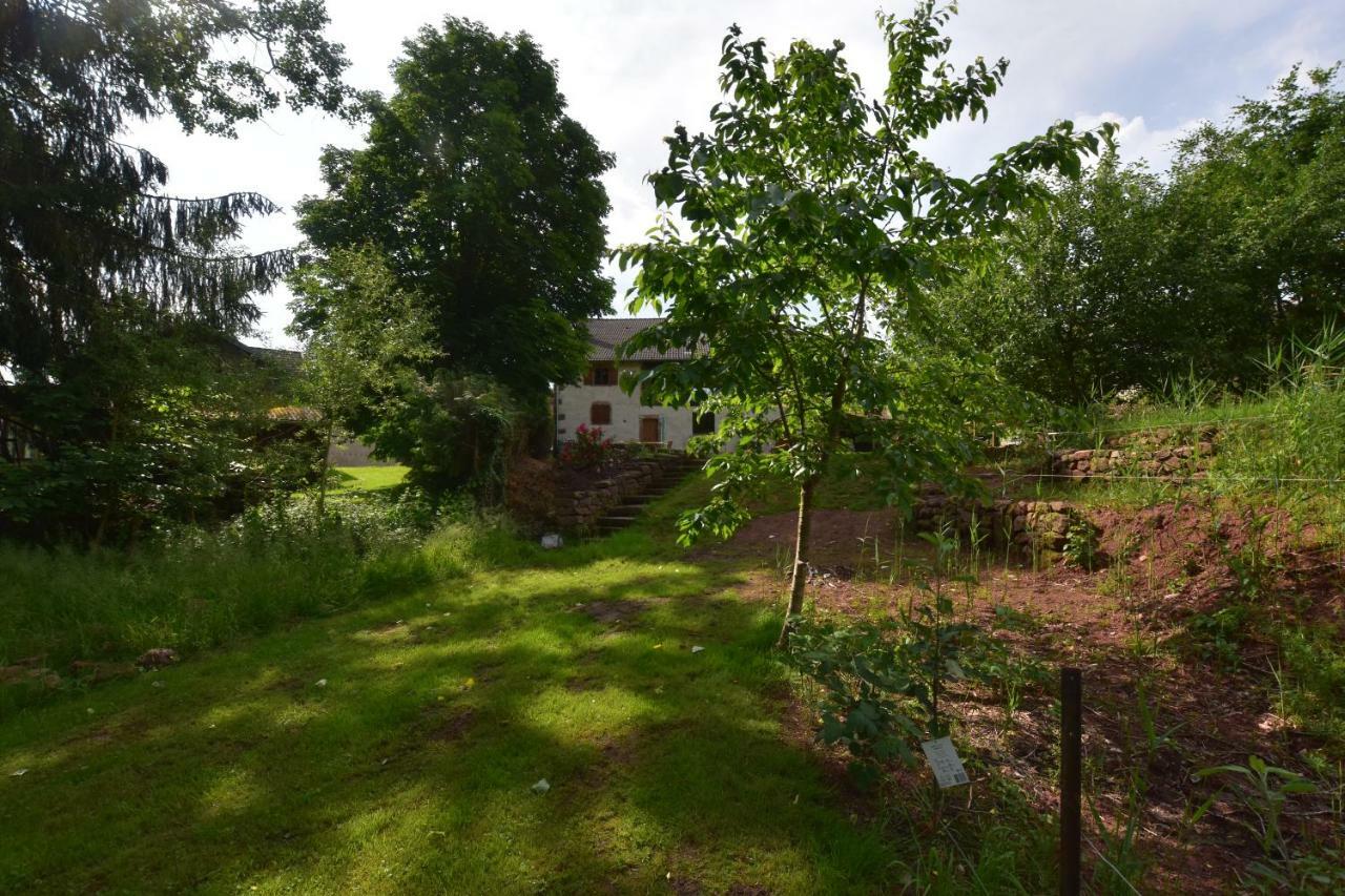 Serendipity Bed&Breakfast Saint-Die-des-Vosges Buitenkant foto