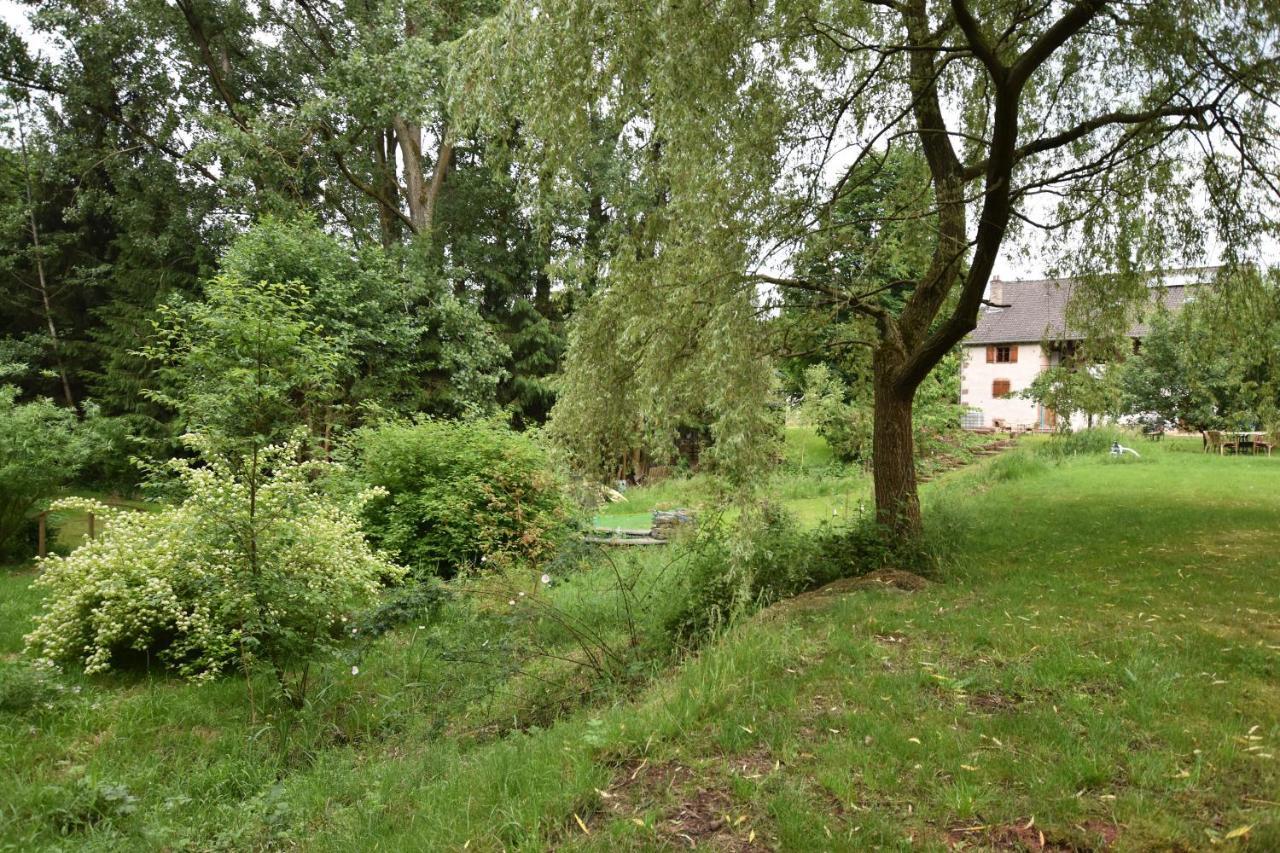 Serendipity Bed&Breakfast Saint-Die-des-Vosges Buitenkant foto